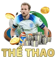 Cá cược thể thao ae666